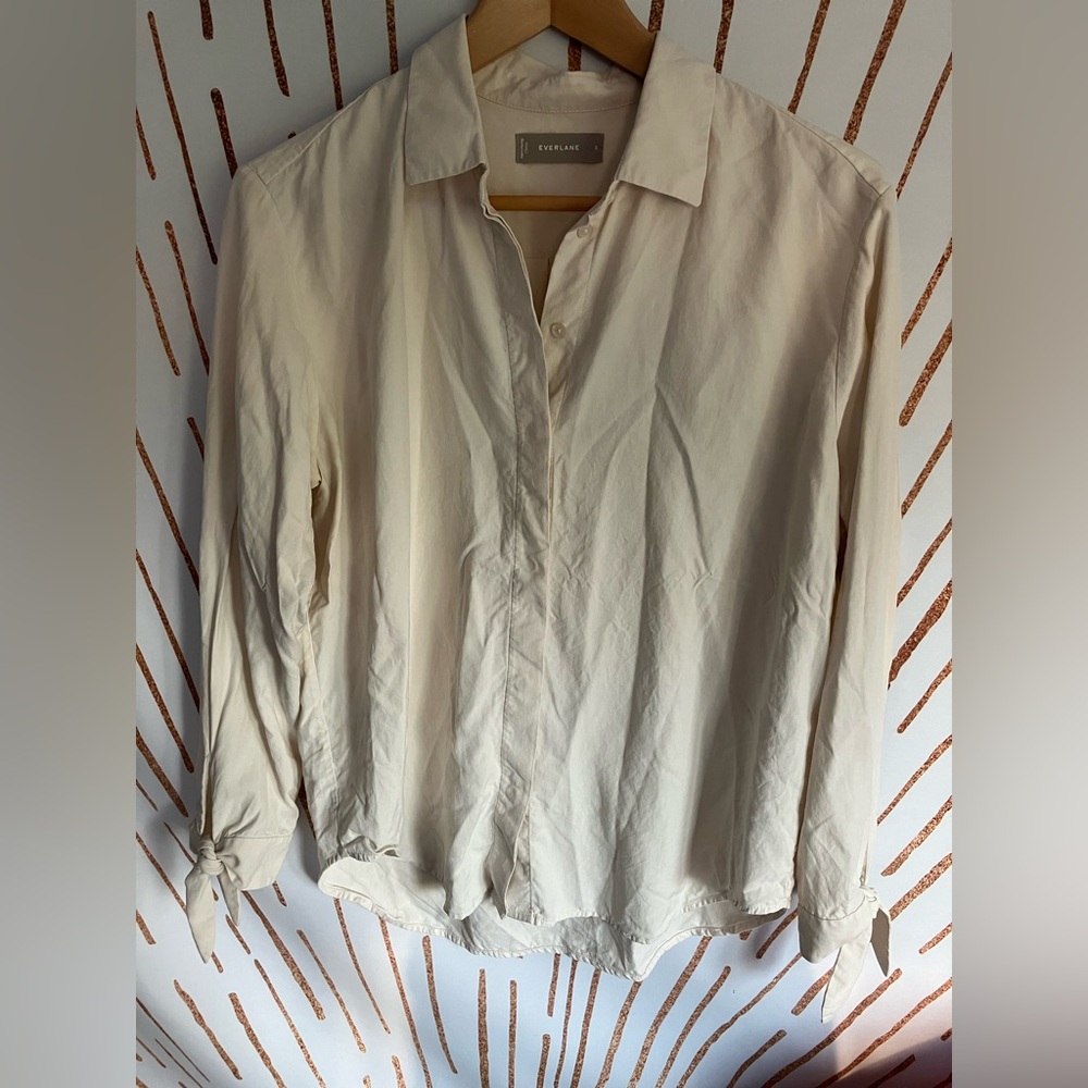 Everlane Washable Silk Shirt